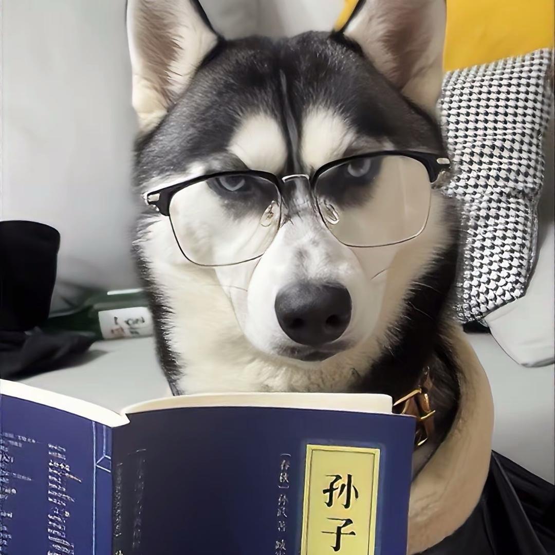 小佳😤