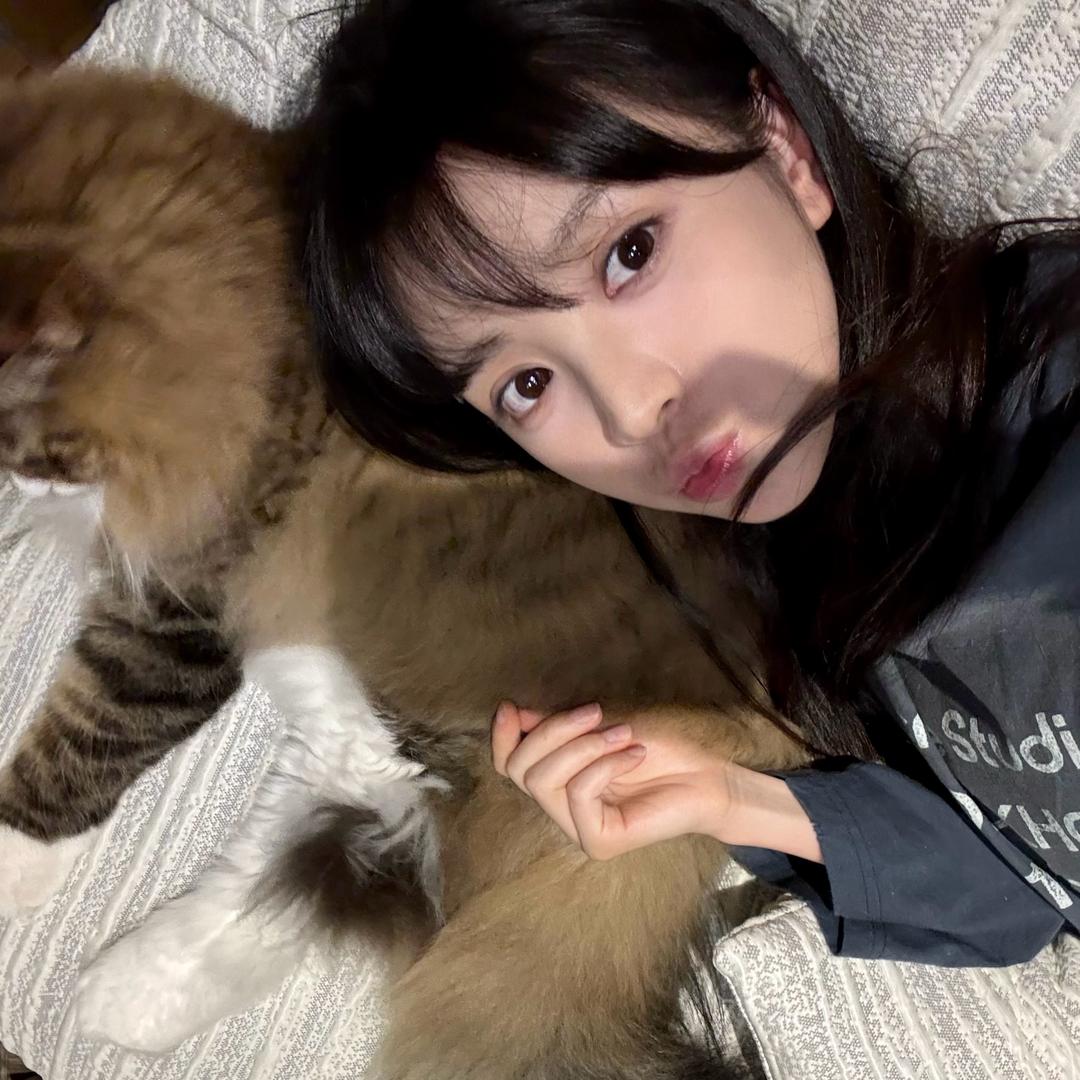 撒旦也吃番茄🍅吗