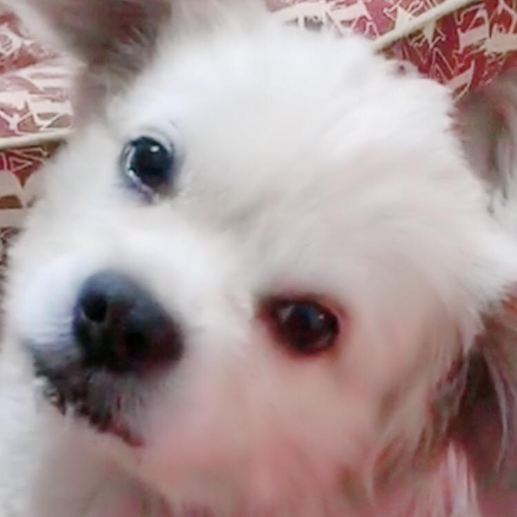 丑丑妈妈👩