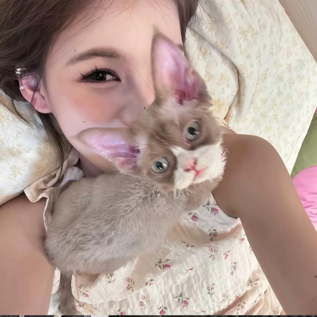 OMG是琦！