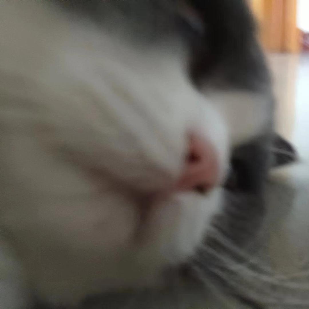 Qqq06
