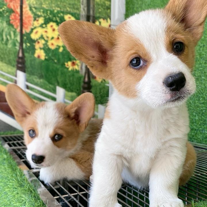 嘉祥县馨馨百货中心（个体工商户）