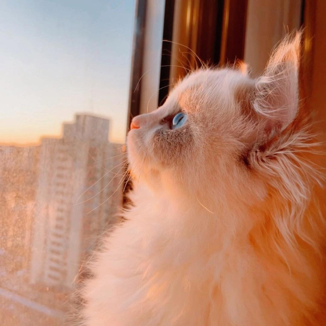 Nice の文案馆🌈