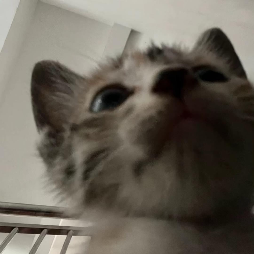 去痛片