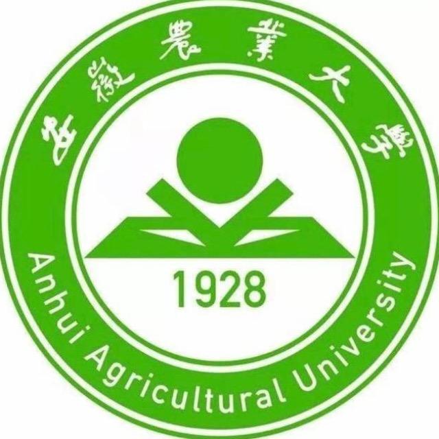 安农小虫