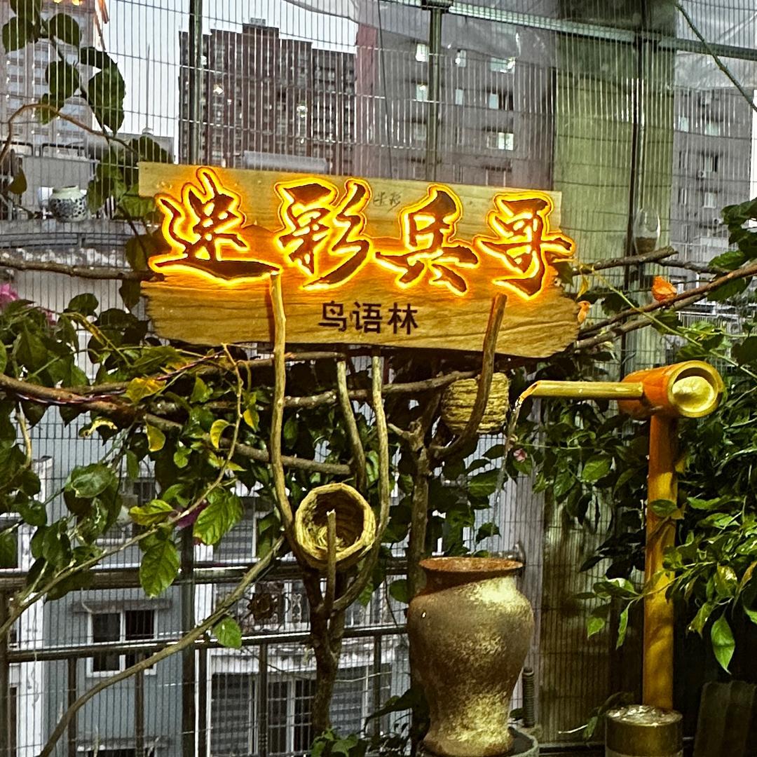 迷彩兵哥鸟语林