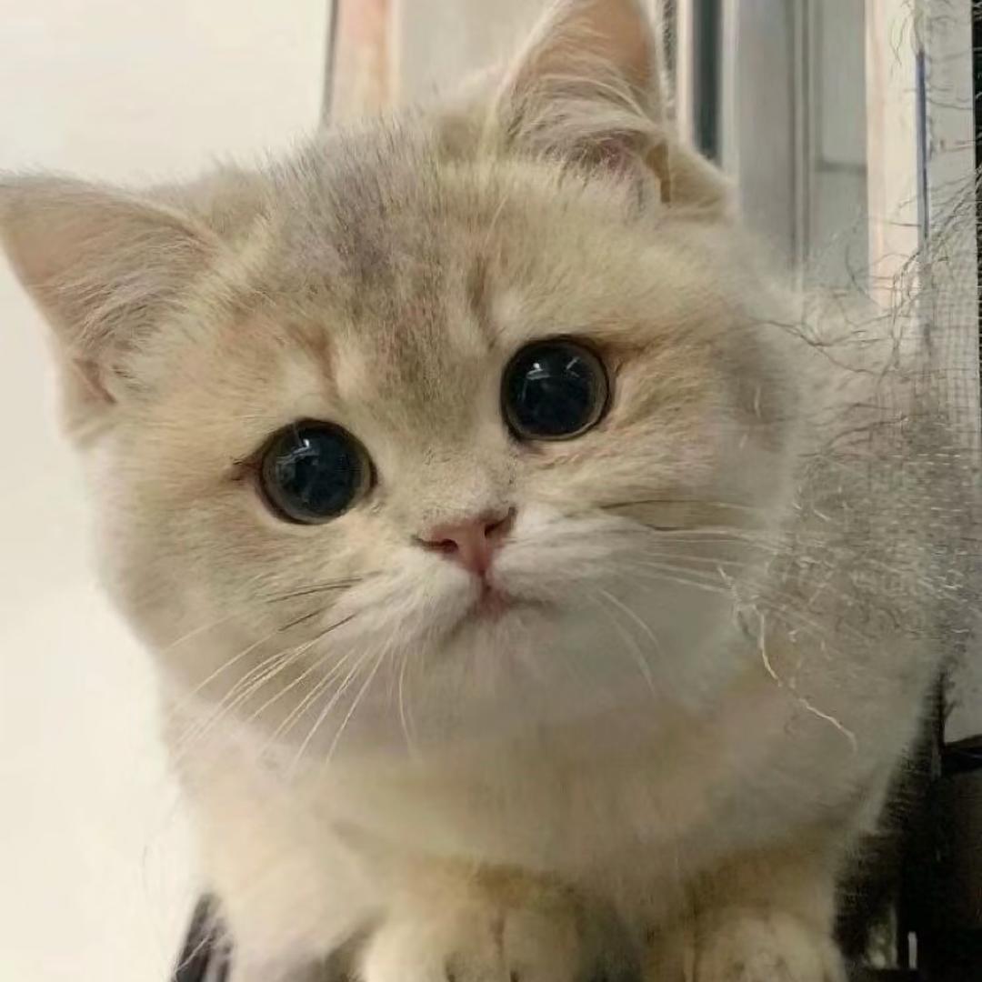 雨眠