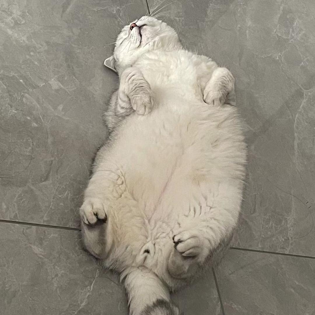 荣时百货