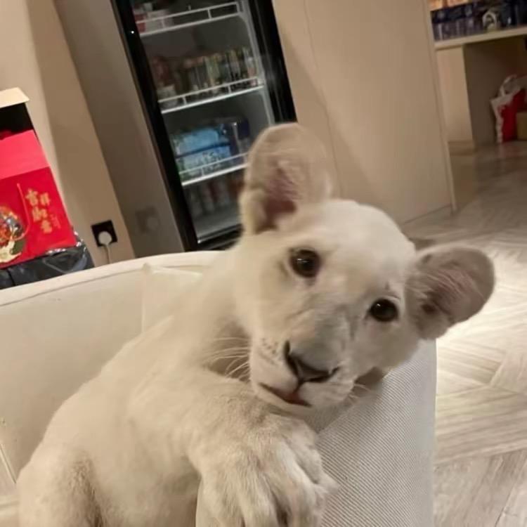 钏的朋友圈