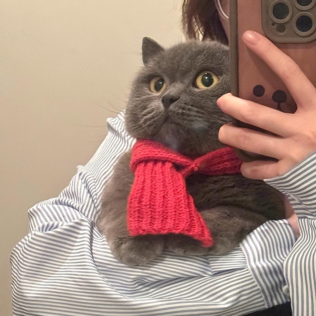 啊啊啊啊啊啊啊a