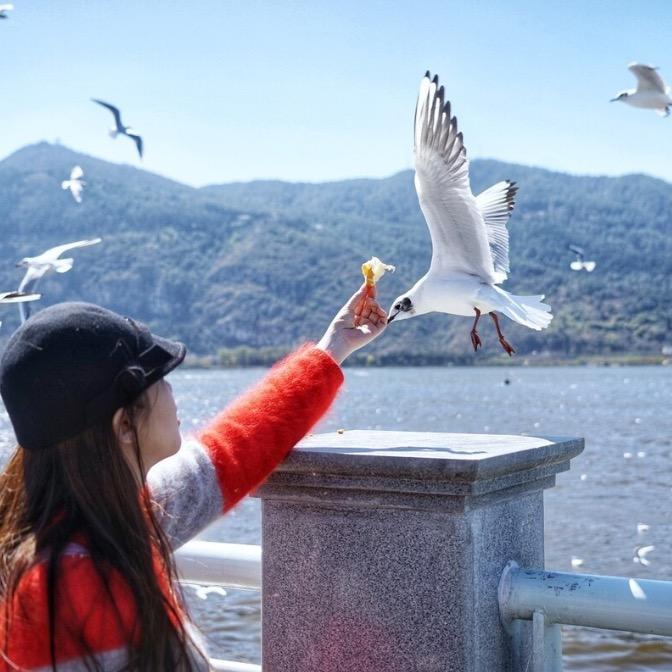 云南国达旅游