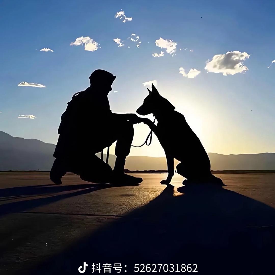 一杯冰美式