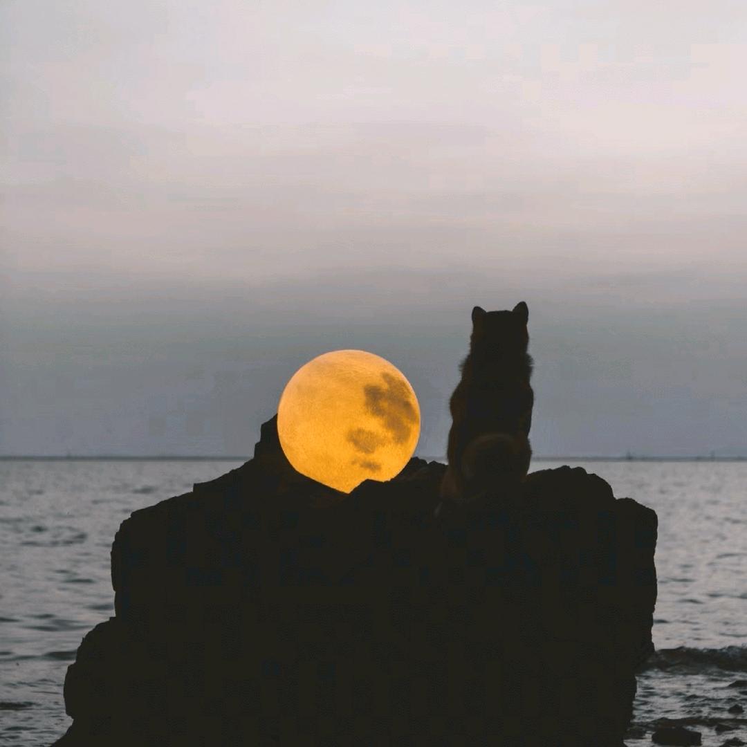 🪐.