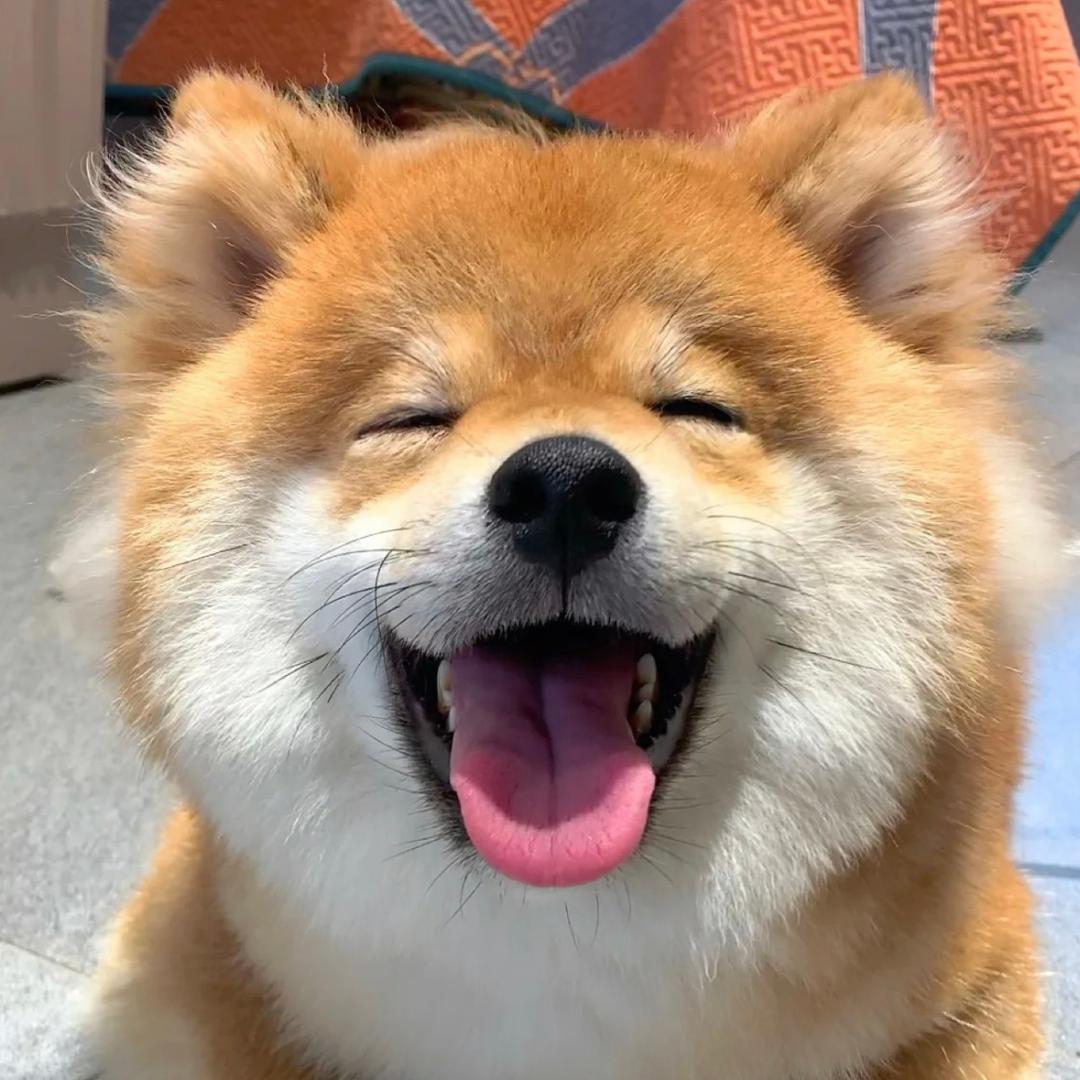 耶斯