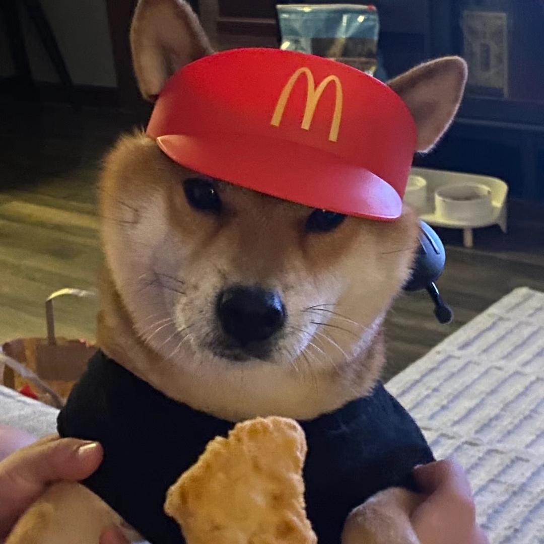 辛 弃 疾