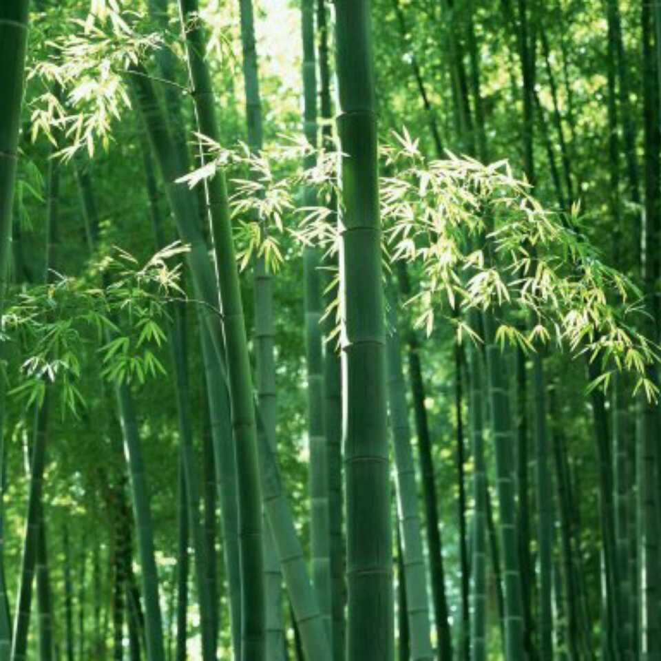 懂你