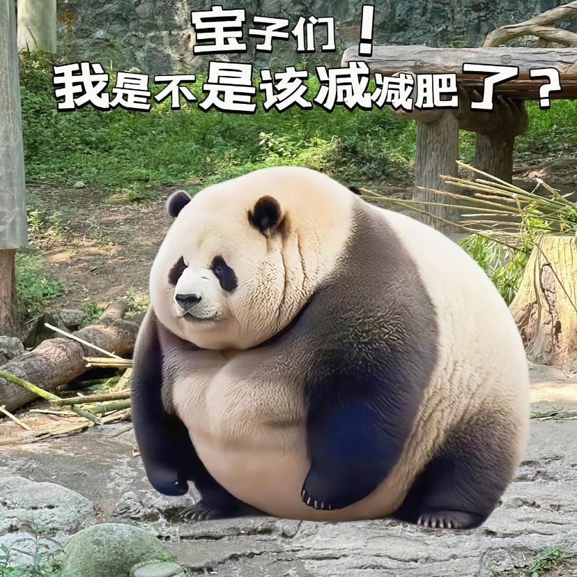 功夫熊猫 《 探长》