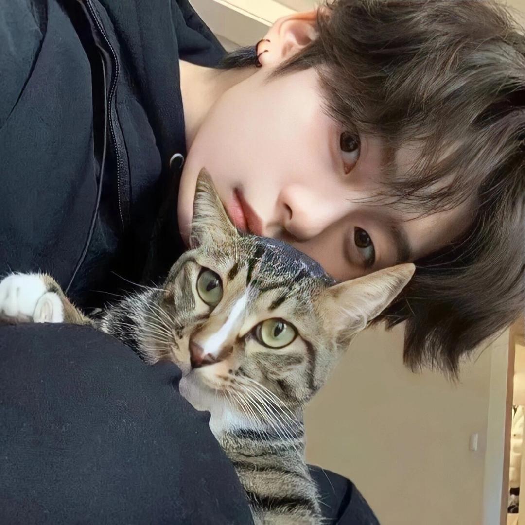 世一龙神国服野射