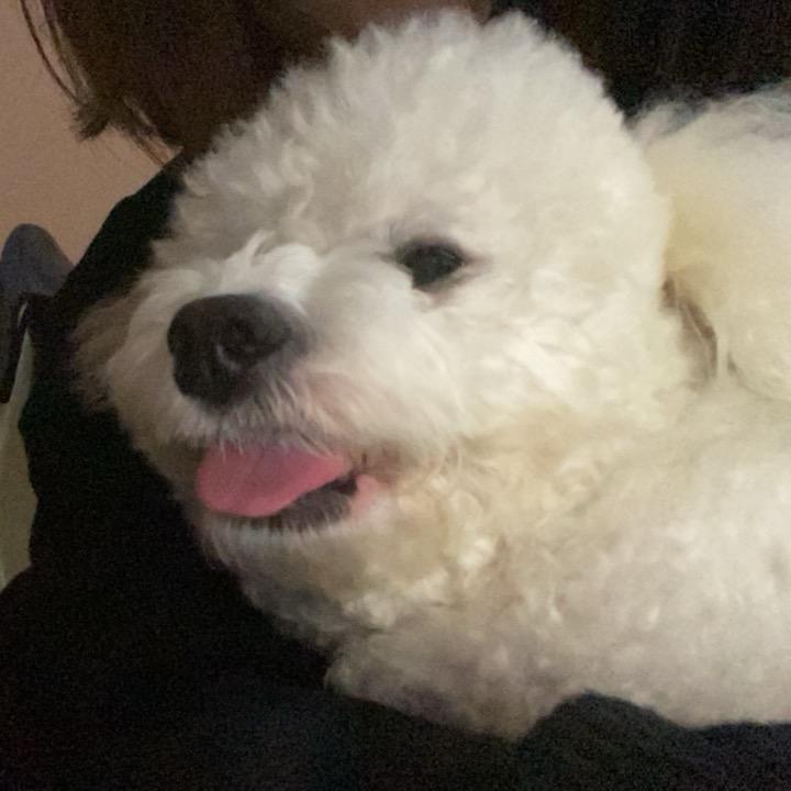 qiqio