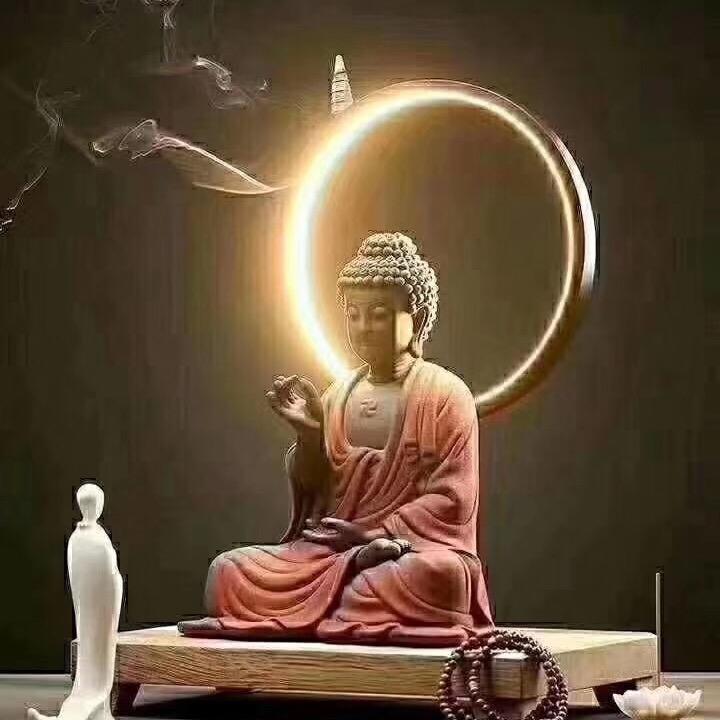 晨晨