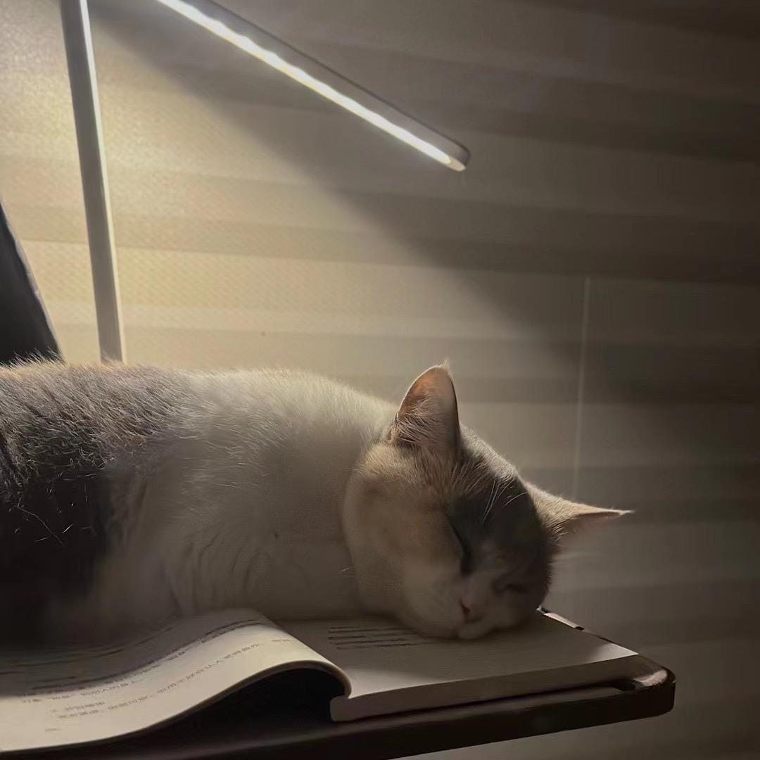 笑敛