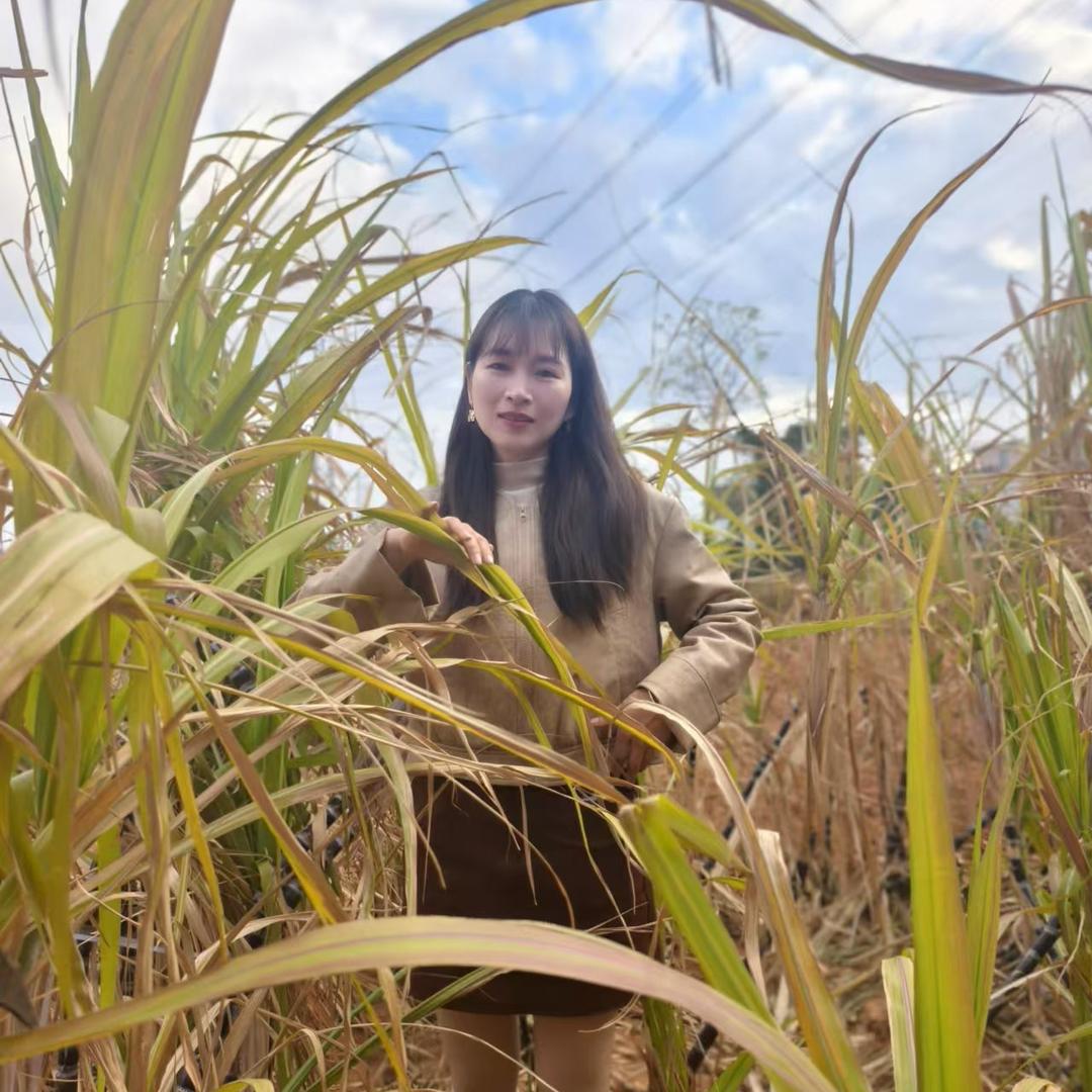 莆田阿花特产干货