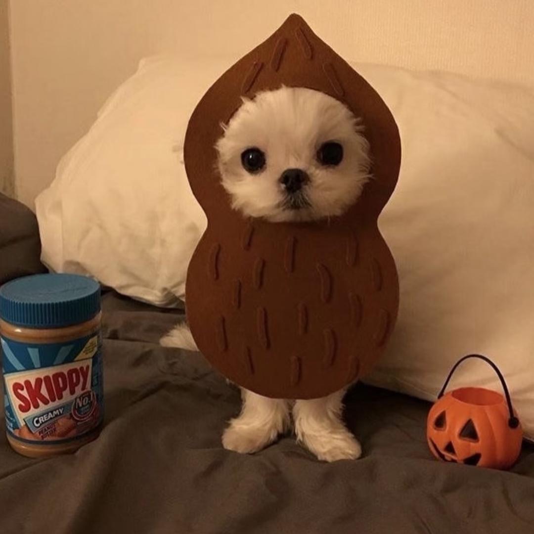 ….