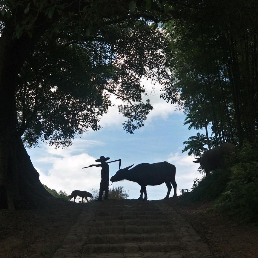 畲家小哥