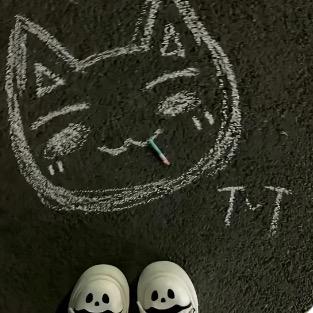ʚ₊⁺喵⁺₊ɞ