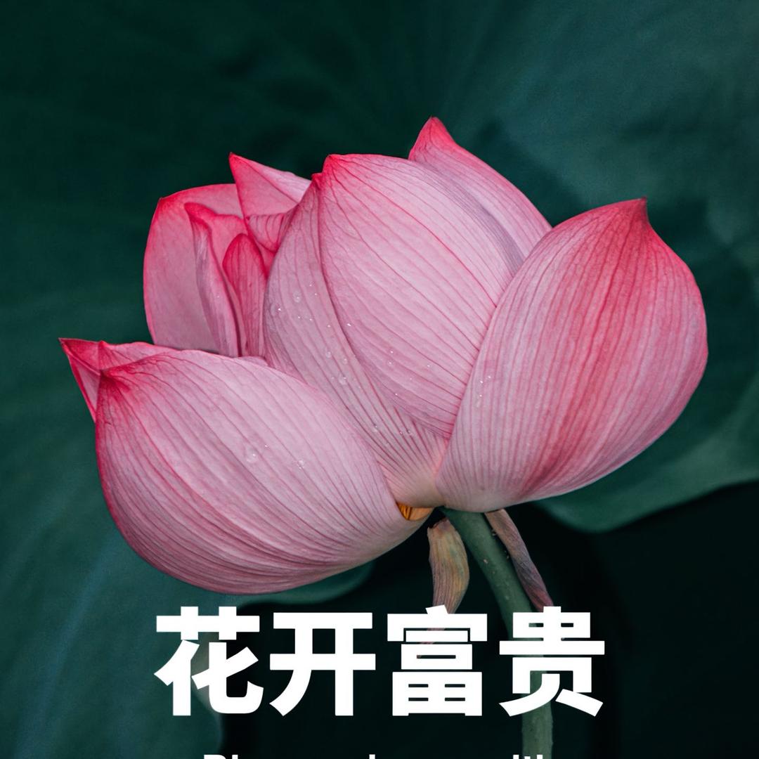 ₁ ₁ ₁ ₁ ₁ ₁ ₁ ₁