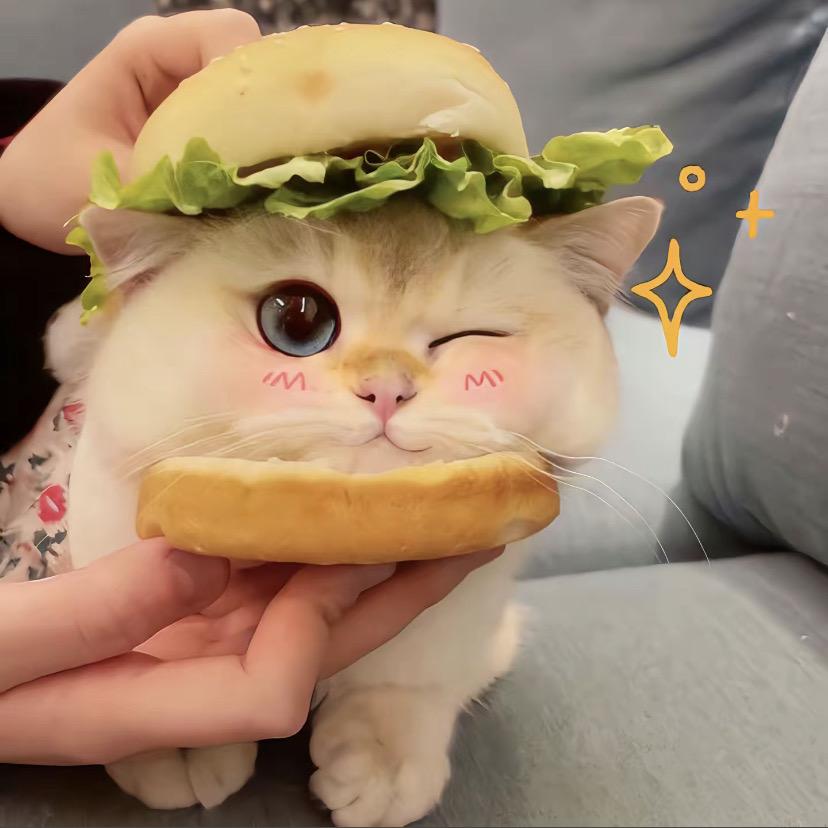 阿怀吃货严选