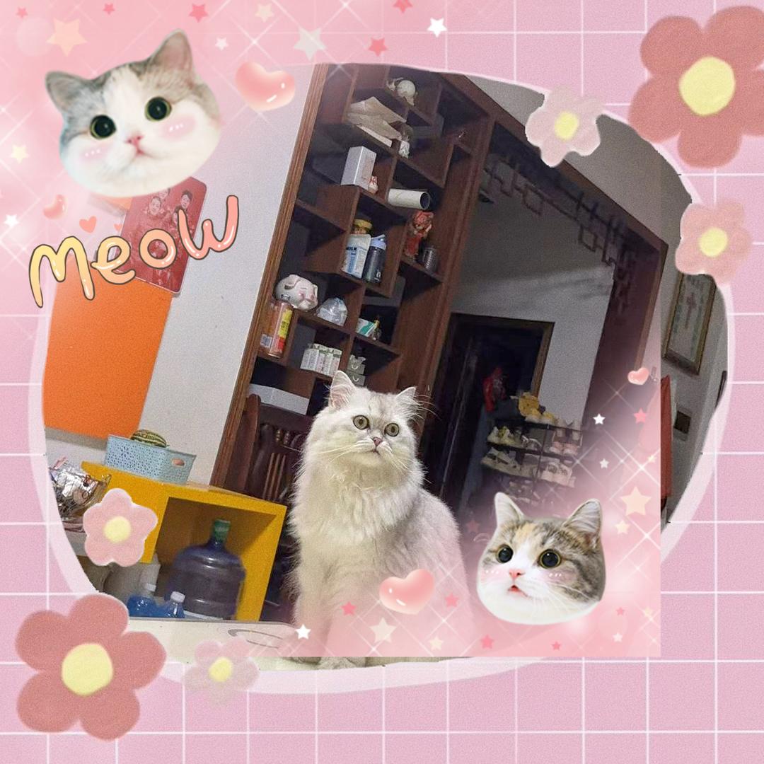 云上太阳