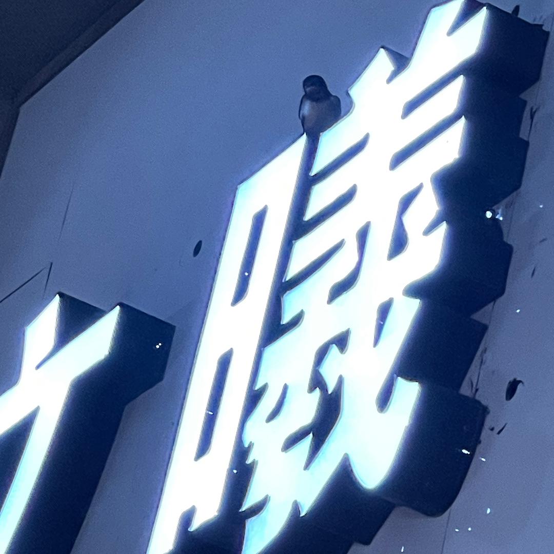 文曦gg