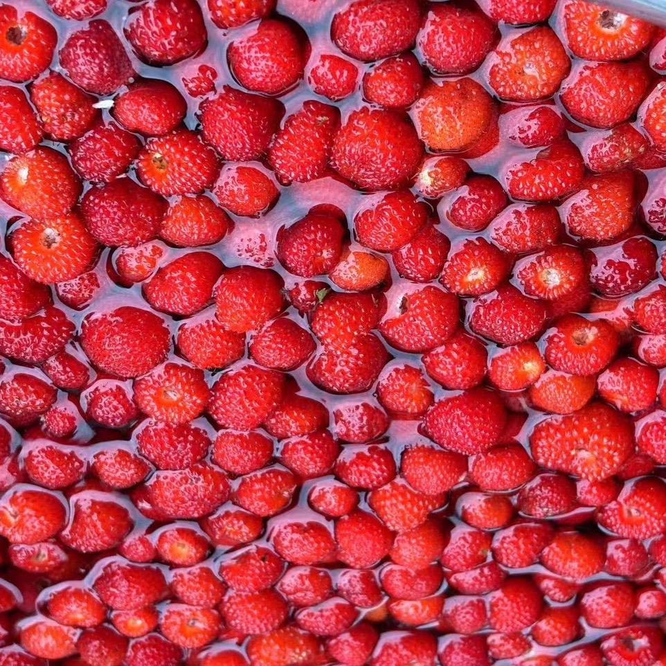 小疤（顺口溜）