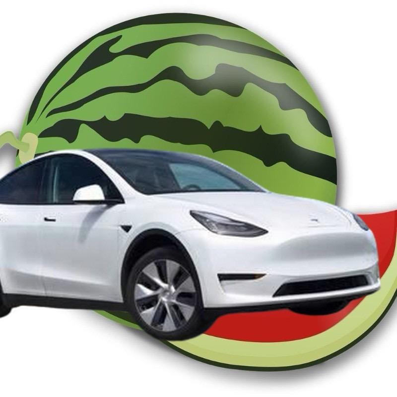 西西撩特斯拉🚗