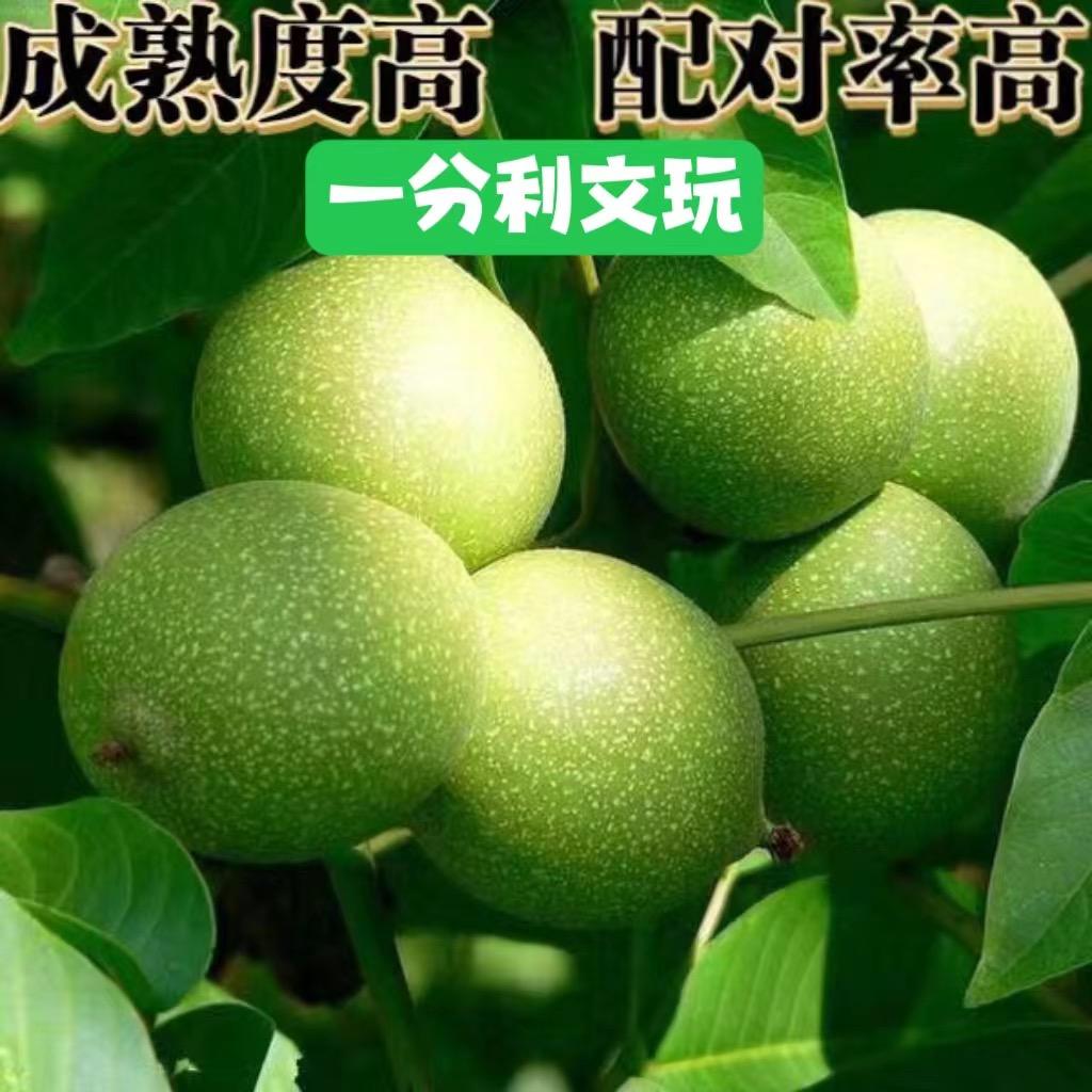 梦幻文玩