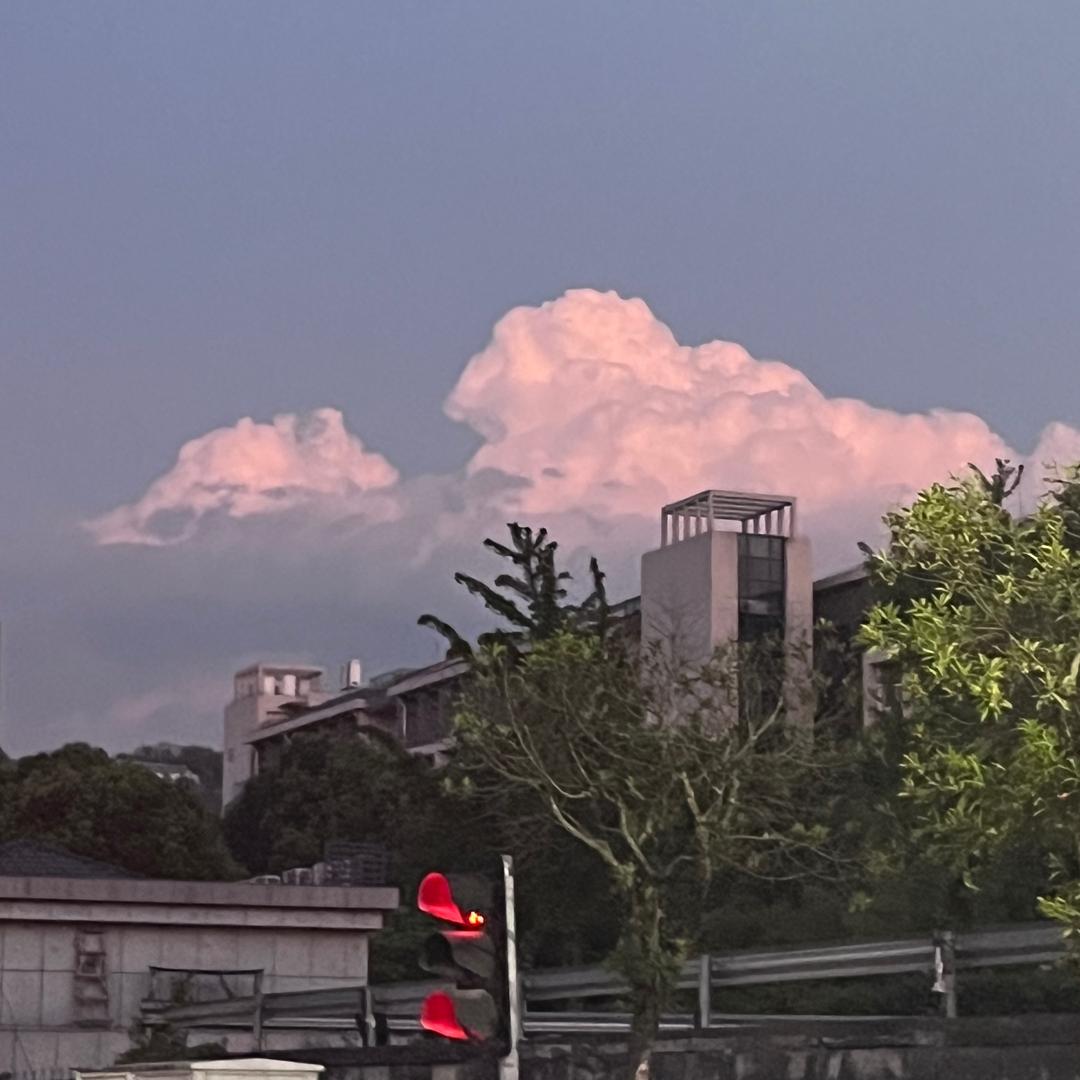 大王叫我来巡山