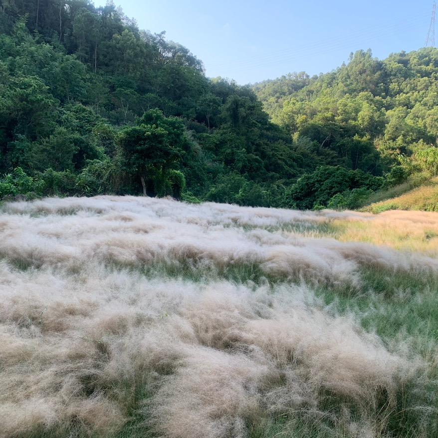 热爱篮球的少年