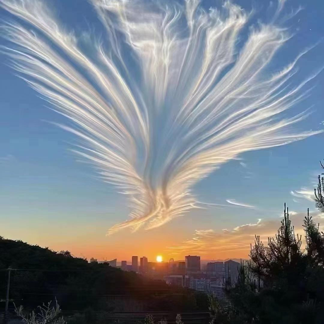 林深时迷路