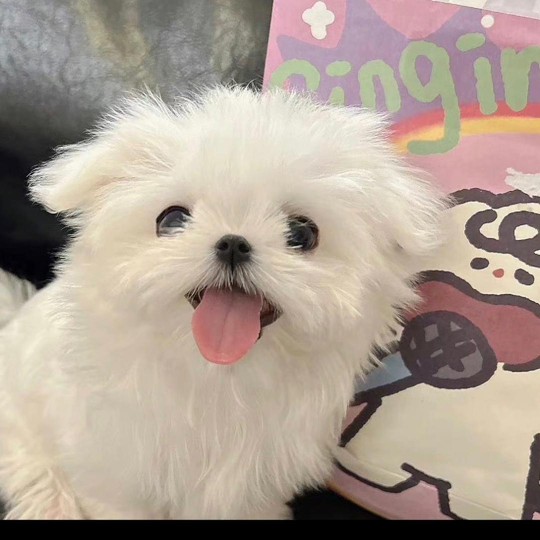 小贾今天又穿啥