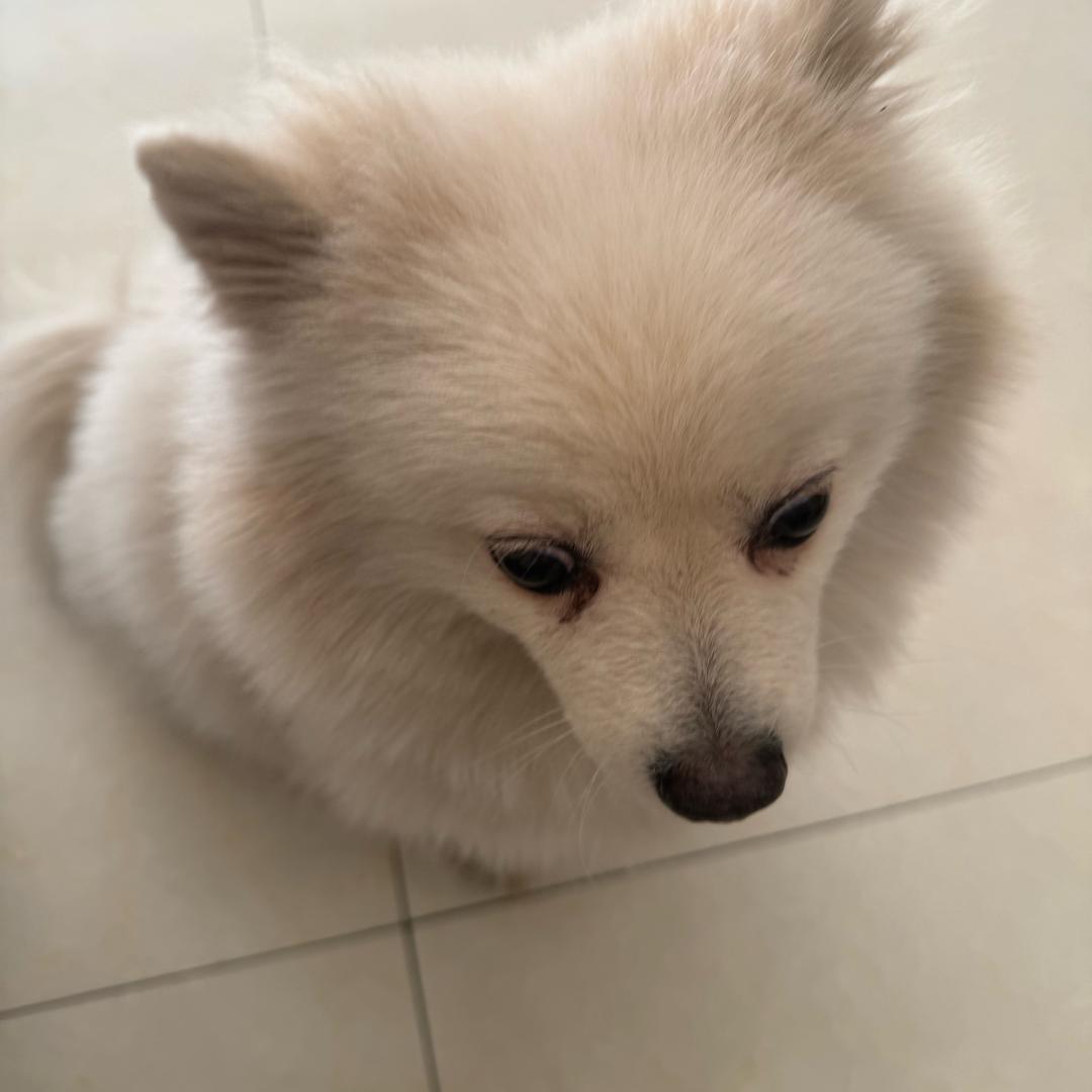 ㅤㅤ ㅤㅤㅤㅤ1