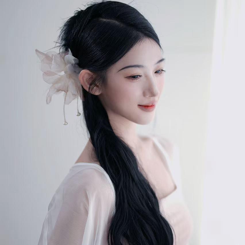小毛喵喵