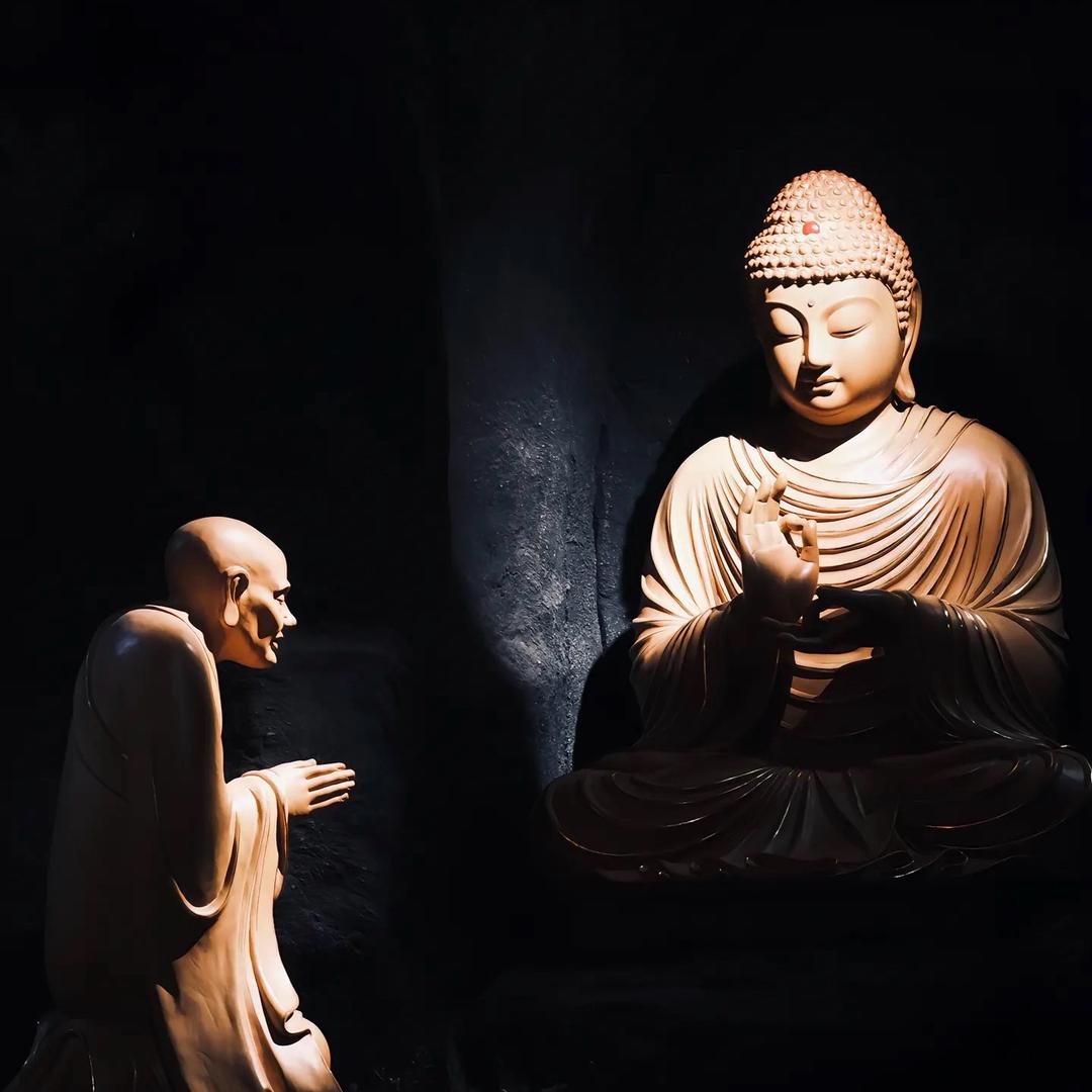 是树只轻舟