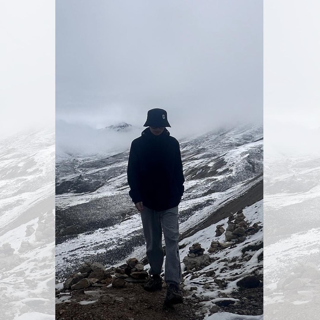 一颗是桃树另一颗也是桃树