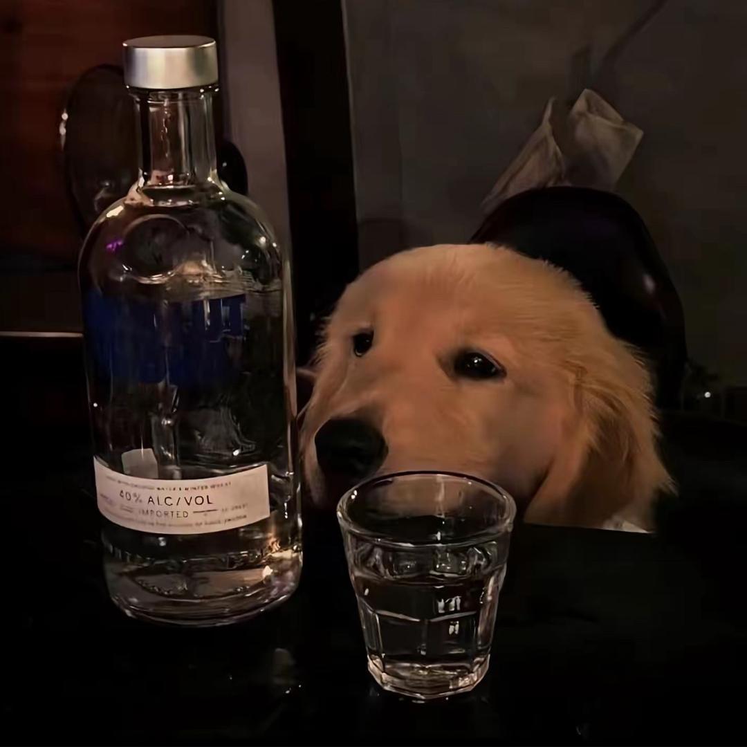 朽梦