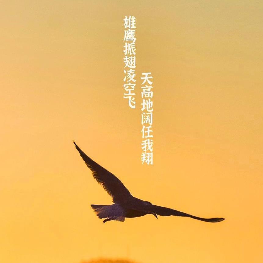 随缘