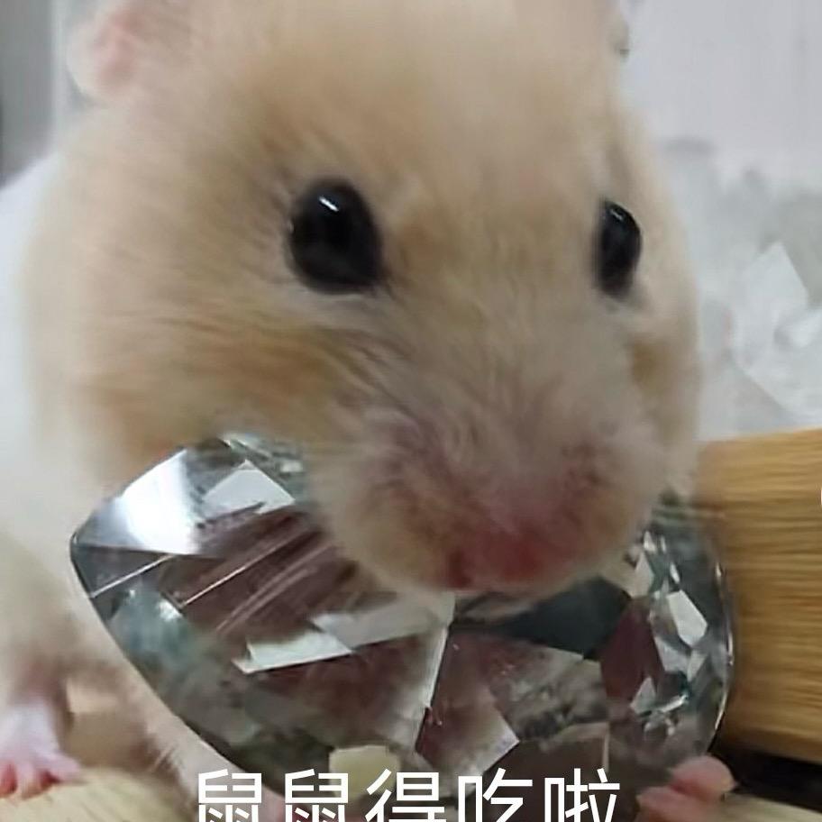 天霸吱（三角洲行动）