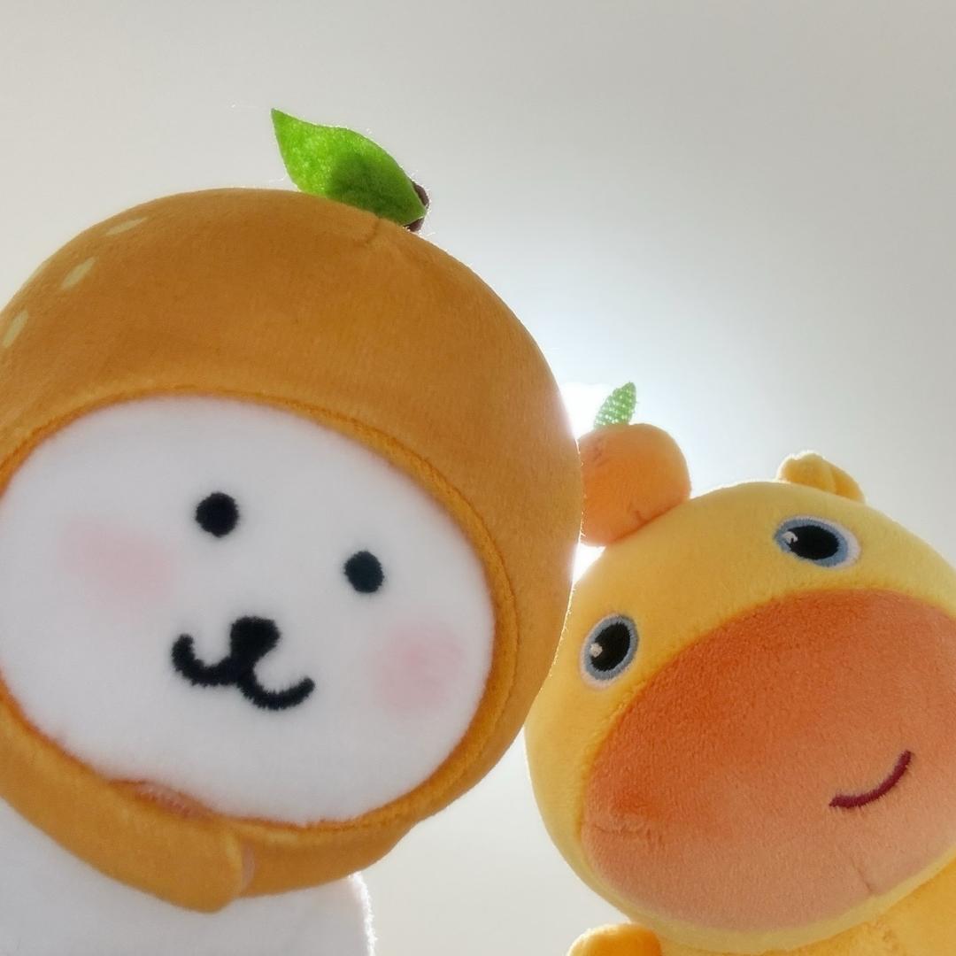 我就菠萝心