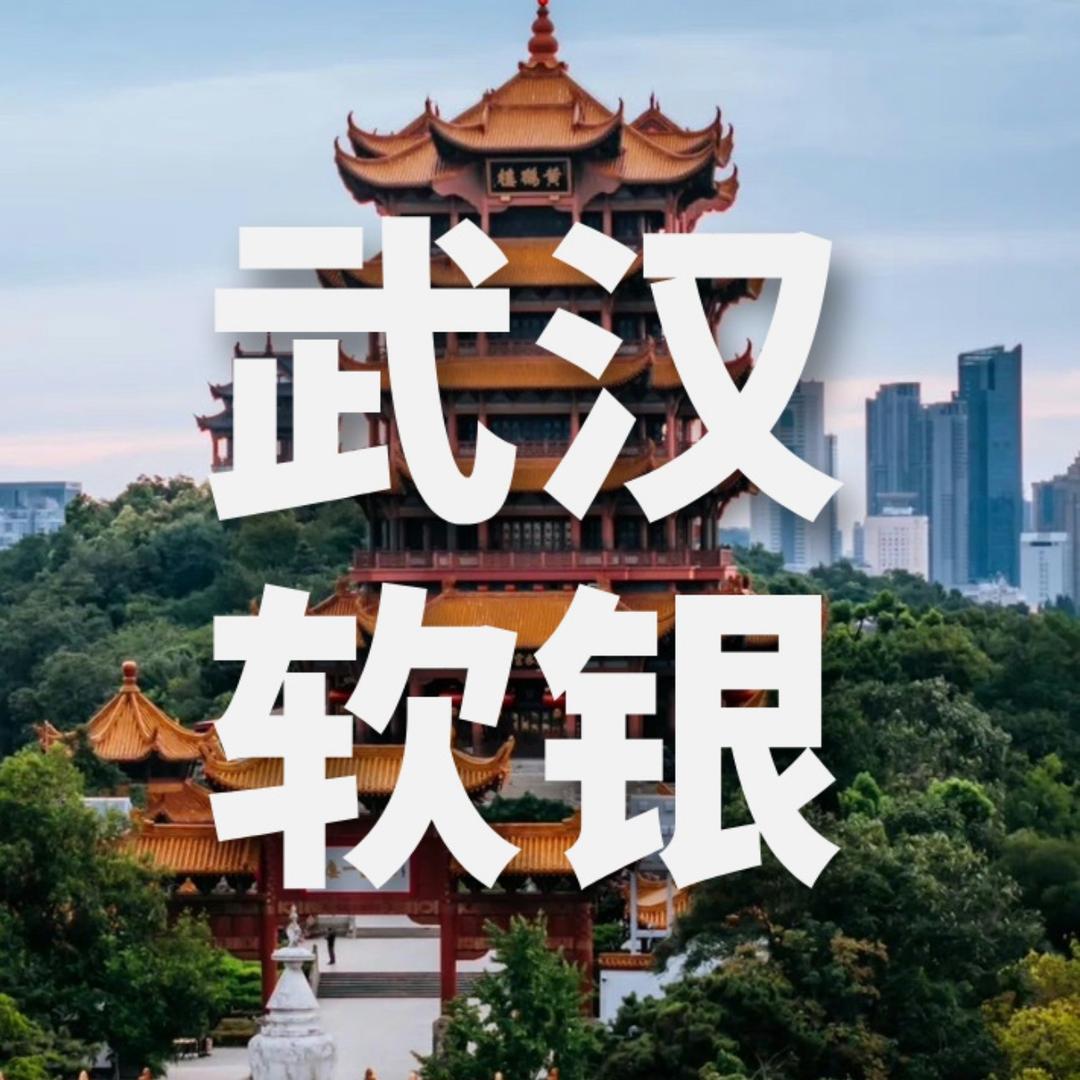 武汉软银管家婆软件服务中心