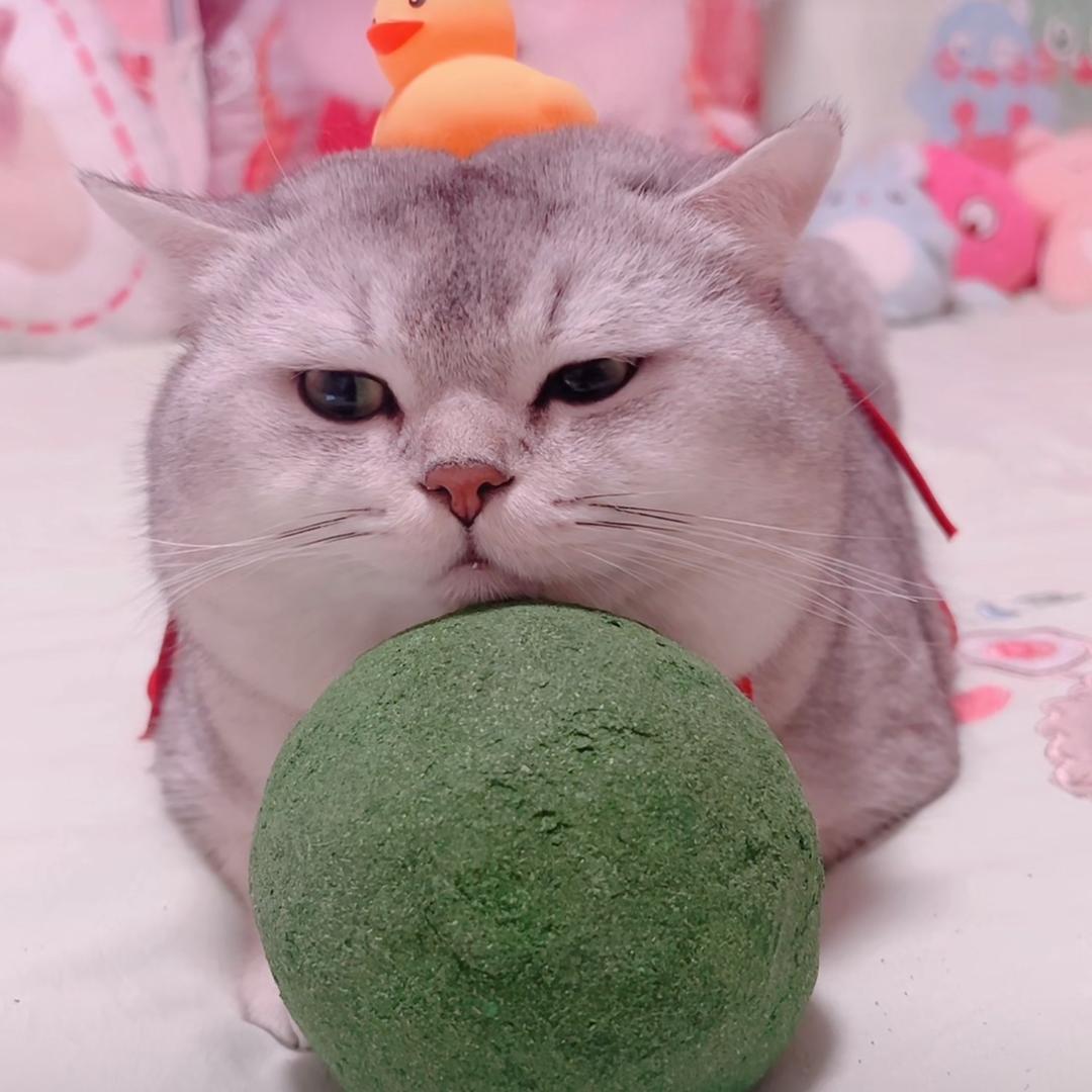 请叫我团少爷😎